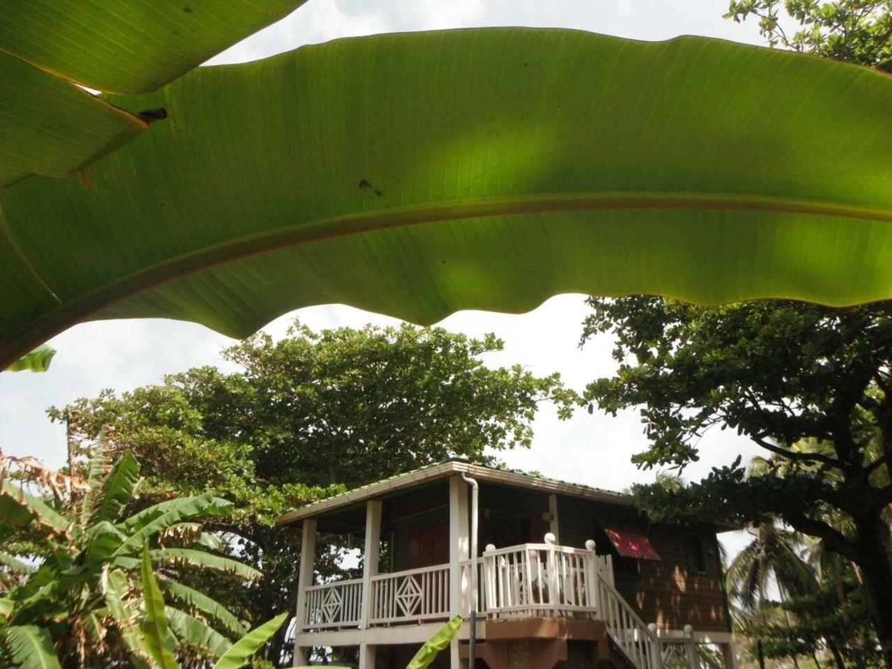 Treehouse Apartment At La Lodge At Long Bay South End Exterior foto